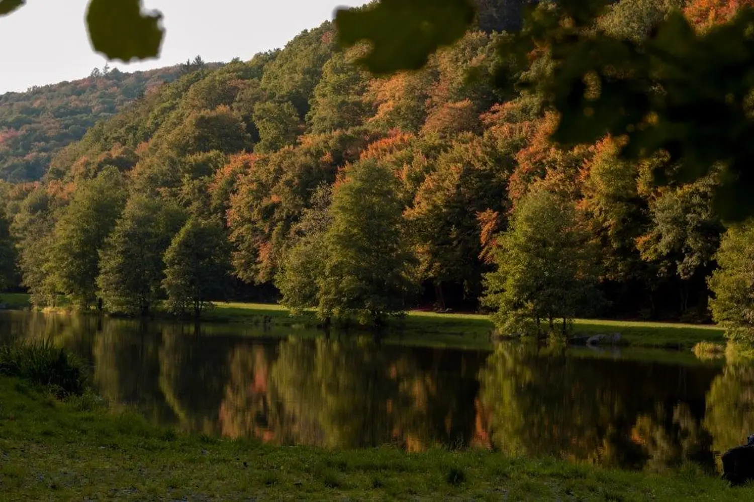 Wald von Bike Lodge GmbH