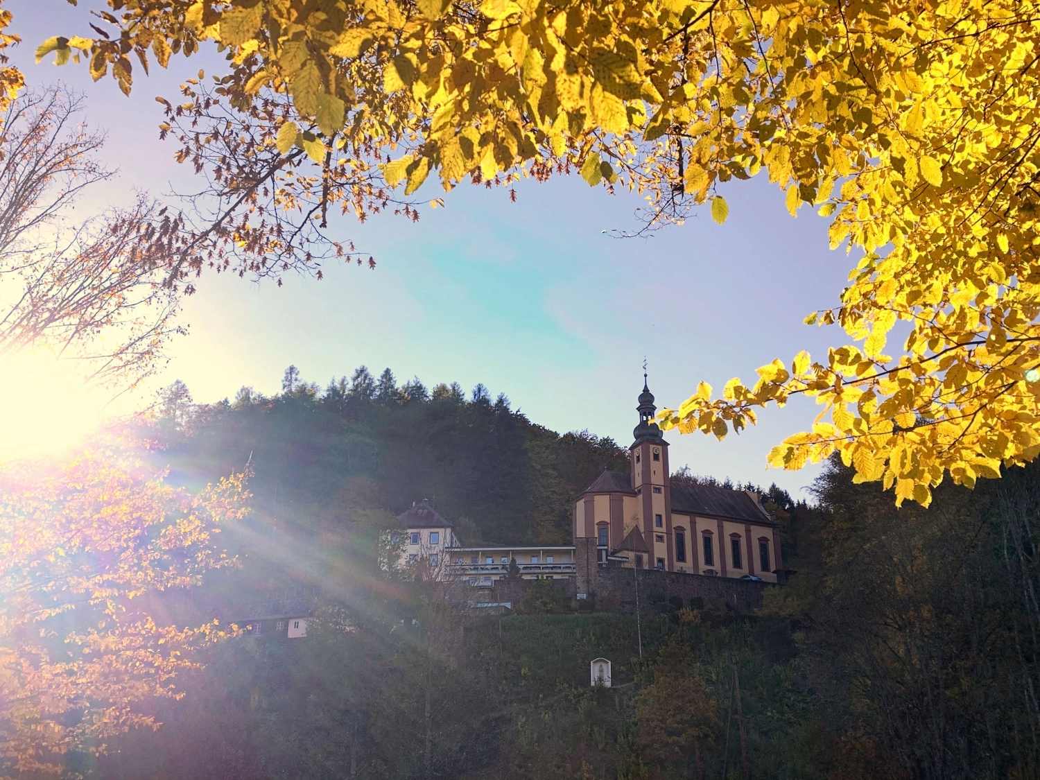 Blick auf die Natur von Bike Lodge GmbH